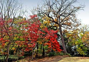 デジタル一眼レフカメラで撮影をした風景写真