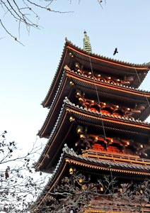 建物の写真撮影