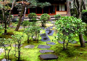 風景の写真撮影