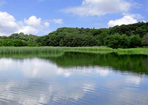 脱炭素化社会 個人でできること