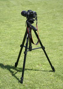 写真の撮影方法